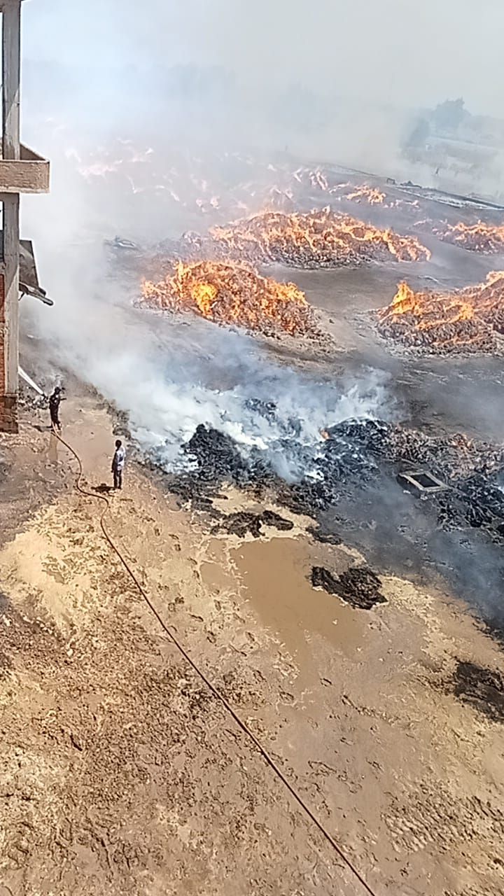 النار وصلت السماء.. حريق هائل في 400 فدن كتان بشبراملس الغربية.. صور - الخليج الان
