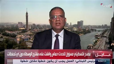 محمود مسلم: مصر تترفع عن صغائر حماس من أجل القضية الفلسطينية - الخليج الان