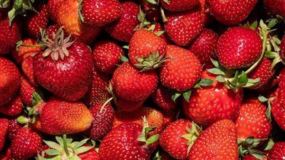 من البطاطا للفراولة.. كيف أصبحت مصر سلة غذاء دولية؟ - الخليج الان