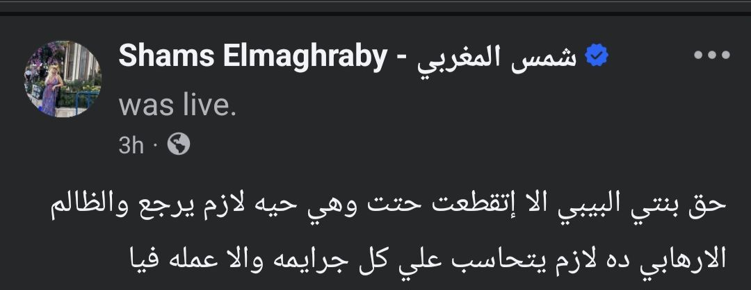 طليقة سعد الصغير تطالب بإعادة التحقيق في قضيتها: الفنان خلص على بنتي - الخليج الان
