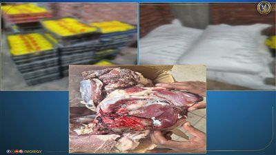 ضبط مصنع غير مرخص وشحنة لحوم فاسدة بالقليوبية - الخليج الان