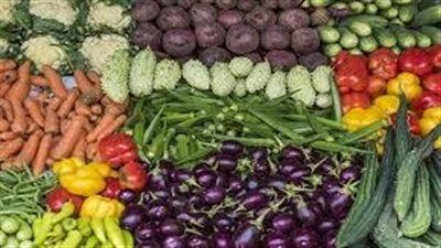 الطماطم ب 5جنيه..اسعار الخضروات والفواكه اليوم الخميس 21-8-2025 - الخليج الان