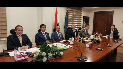 حماة الوطن يبدأ أولى اجتماعات الترتيب لخوض انتخابات مجلس النواب 2025 - الخليج الان