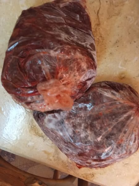 ضبط لحوم وسلع غذائية فاسدة.. وتحرير 260 محضرًا خلال حملات تموينية مكثفة بأسيوط - الخليج الان