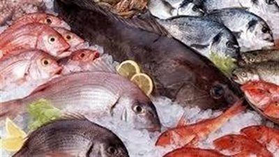 الكابوريا ب 40 جنيه..اسعار السمك اليوم السبت 23-8-2025 - الخليج الان