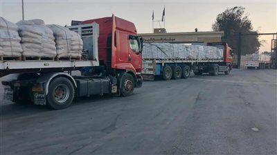 «بالتنسيق مع مصر».. عبور 20 شاحنة إماراتية من كرم أبو سالم تمهيدًا لدخولها غزة - الخليج الان