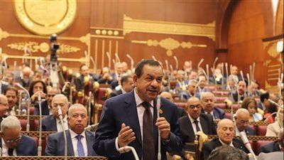 النائب عبد السلام الجبلي يدعو لسرعة تنفيذ توجيهات الرئيس بشأن الاستخدام الآمن للمياه الجوفية - الخليج الان