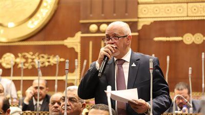 النائب حازم الجندي يطالب بالإفراج الفوري عن البطل أحمد عبد القادر - الخليج الان