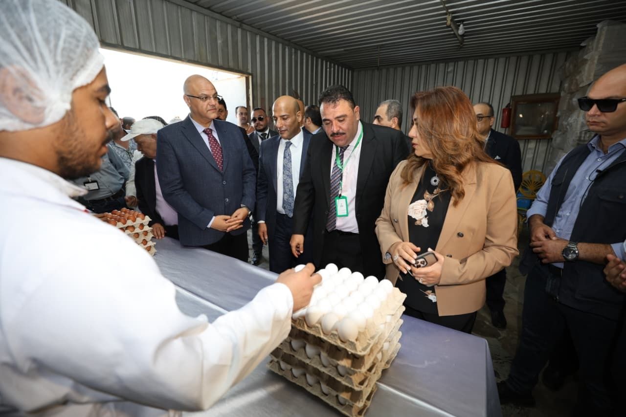 بـ «30 مليون بيضة» ..الدولة تدعم السوق وتوفر السلع الأساسية للمواطنين - الخليج الان