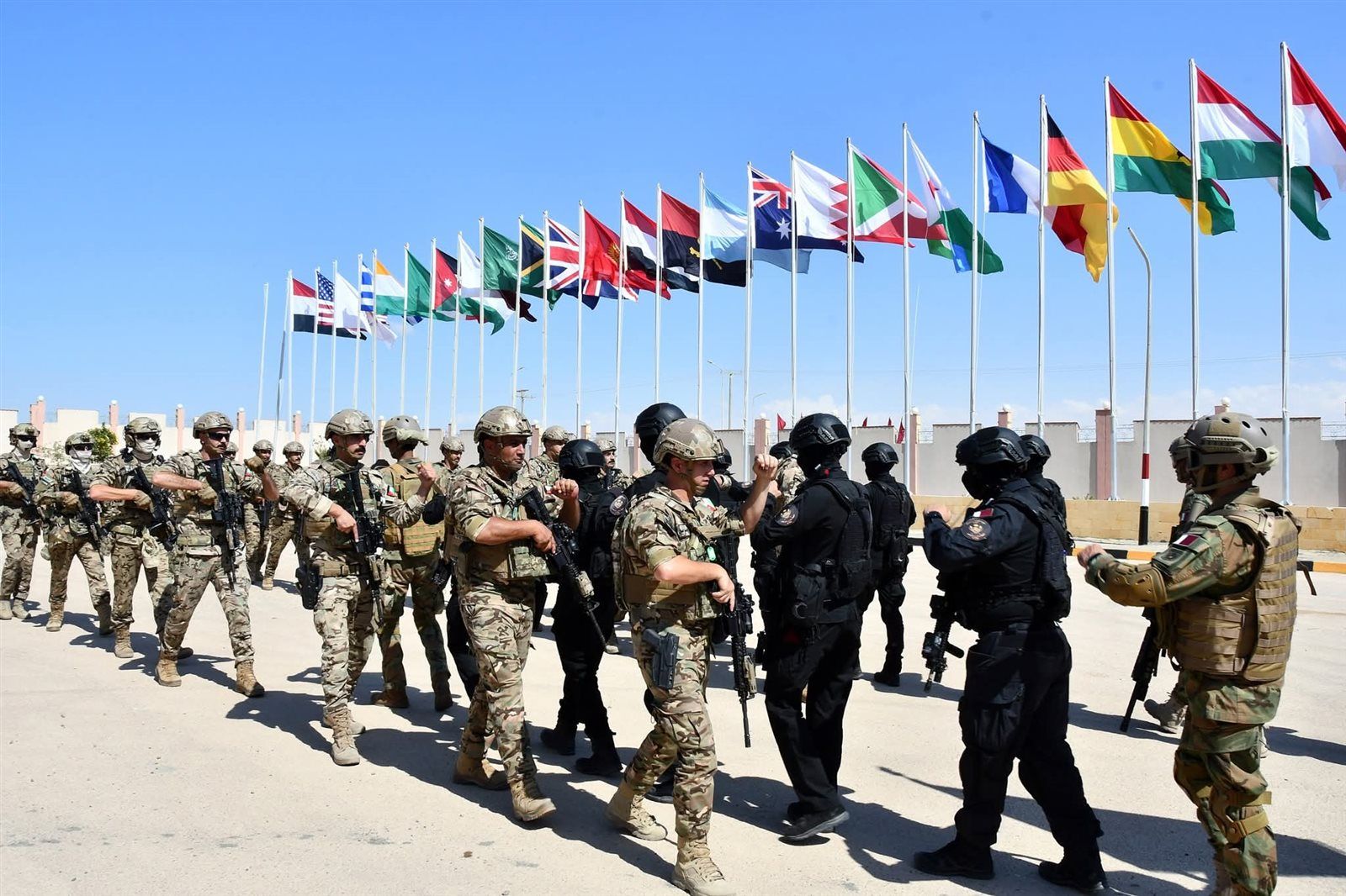 المتحدث العسكرى : بمشاركة 44 دولة.. بدء فعاليات التدريب المصرى الأمريكى المشترك " النجم الساطع - 2025 " - الخليج الان