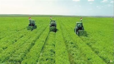 الصوب الزراعية بالمنيا.. خطوة استراتيجية نحو إنتاج غذاء آمن وزراعة مستدامة - الخليج الان