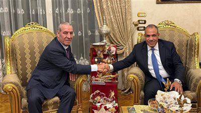 وزير الخارجية: مصر ملتزمة بمواصلة دعم الشعب الفلسطيني للحصول على حقوقه وإقامة دولته المستقلة - الخليج الان