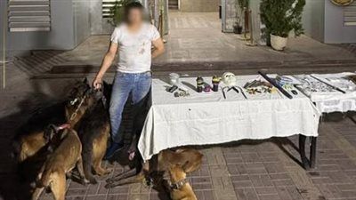 ضبط عاطل بحوزته كميات متنوعة من المواد المخدرة وسلاح وكلاب شرسة روع بها المواطنين - الخليج الان
