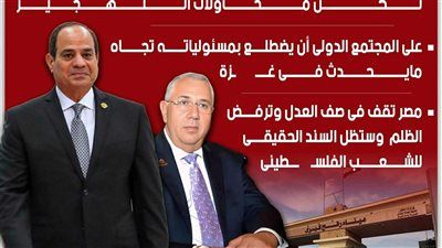 السيد القصير لـ تليجراف الخليج: معبر رفح لن يكون بوابة للتهجير - الخليج الان