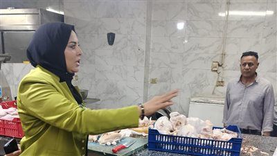 ضبط 2.5 طن لحوم ودواجن غير صالحة للاستهلاك الآدمي بالإسماعيلية - الخليج الان