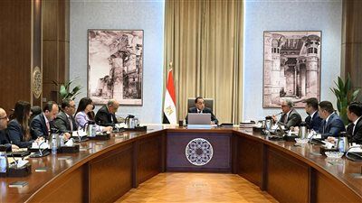 رئيس الوزراء يلتقي مسئولى شركة «صن ريف سولار» الصينية لتوطين صناعة مكونات مشروعات الطاقة المتجددة - الخليج الان