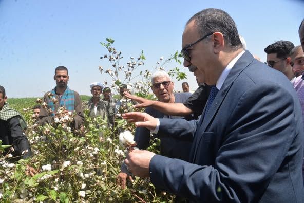 محافظ أسيوط يفتتح موسم جني القطن لعام 2025 ويؤكد دعم كامل للفلاح وإعادة "الذهب الأبيض" لمكانته التاريخية - الخليج الان