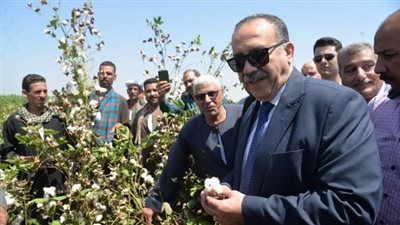 محافظ أسيوط يفتتح موسم جني القطن لعام 2025 ويؤكد دعم كامل للفلاح وإعادة "الذهب الأبيض" لمكانته التاريخية - الخليج الان