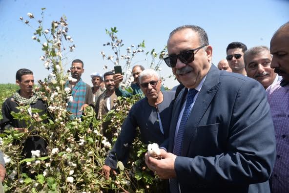 محافظ أسيوط يفتتح موسم جني القطن لعام 2025 ويؤكد دعم كامل للفلاح وإعادة "الذهب الأبيض" لمكانته التاريخية - الخليج الان