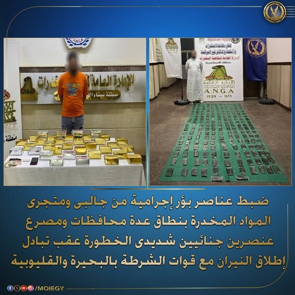 ضبط أدوية داخل صيدلية ومخزن غير مرخصين بالقليوبية وكميات من المخدرات - الخليج الان