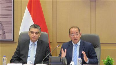 المالية: صرف 7.4 مليار جنيه لدعم شركات الأدوية - الخليج الان