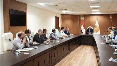 تحرير 201 محضر تصاريح عمل أجانب بغرامات تصل إلى 20 مليون جنيه - الخليج الان