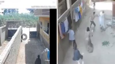 القبض على طرفي مشاجرة بالأسلحة البيضاء في السنطة بالغربية - الخليج الان