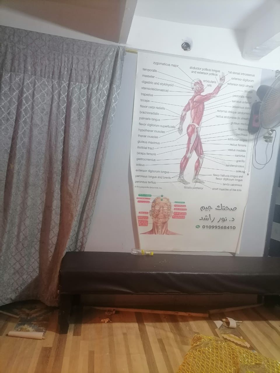 صحة الدقهلية: غلق مركز غير مرخص للتغذية العلاجية تديره خريجة تربية بالمطرية - الخليج الان