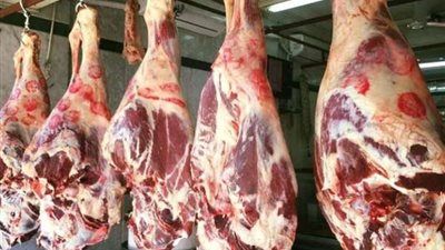 اللحوم اليوم.. المواطن في مواجهة نار الأسعار - الخليج الان