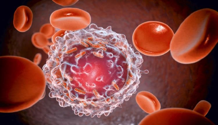 موجود في كل منزل...احذر خطر قانل يهدد حياة الأطفال !