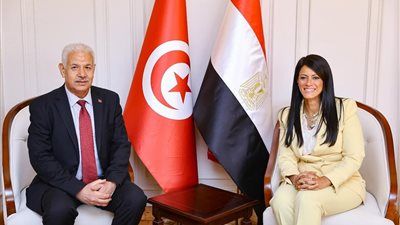 التخطيط: حجم الصادرات المصرية إلى تونس تقدر بنحو 434.5 مليون دولار في عام 2024 - الخليج الان