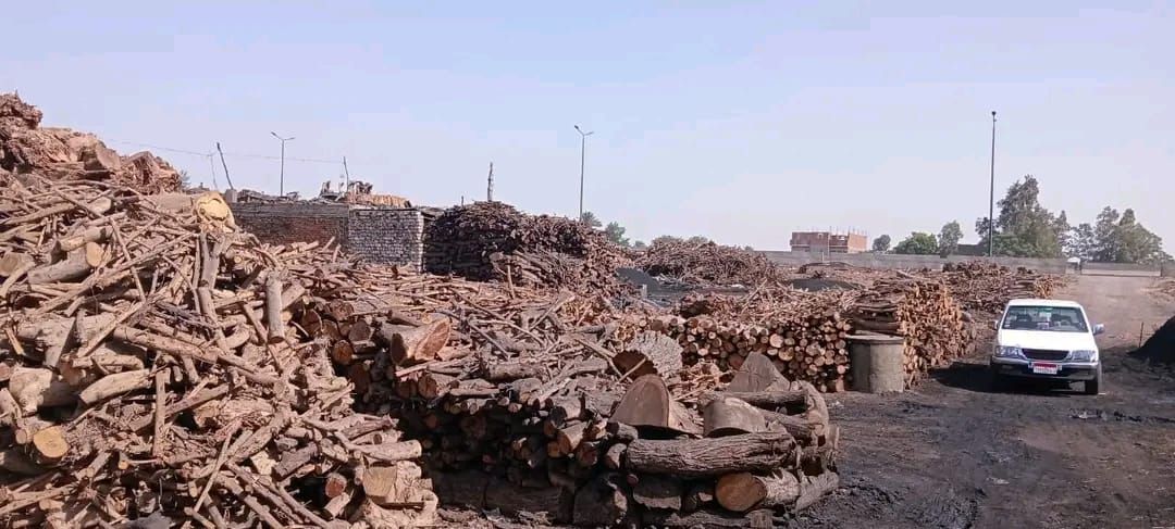 جهاز شؤون البيئة بالشرقية يضبط 13 مكمورة فحم عشوائي خلال حملة مفاجئة - الخليج الان