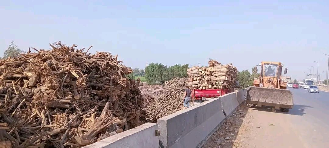 جهاز شؤون البيئة بالشرقية يضبط 13 مكمورة فحم عشوائي خلال حملة مفاجئة - الخليج الان