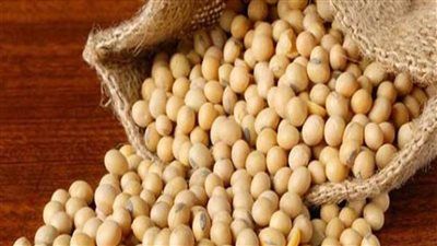 فول الصويا على رأس أولويات الزراعة في مصر.. خطط لمضاعفة المساحات - الخليج الان