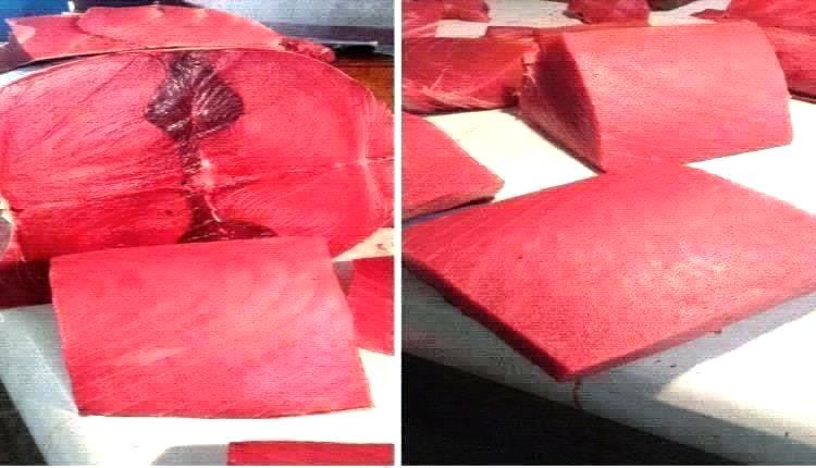 أسعار الأسماك اليوم الاثنين فى عدن 15 سبتمبر 2025م