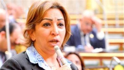 اتصالات النواب لتحيا مصر: يوجد طرق لتحسين جودة الشبكة.. ولكن هناك عقبة - الخليج الان