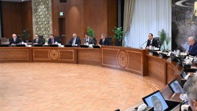 رئيس الوزراء يؤكد استقرار الاقتصاد المصري وتوجه الدولة لتسريع التحول للطاقة المتجددة - الخليج الان