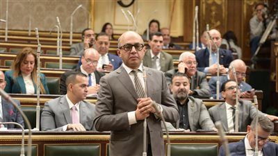 النائب د. هشام حسين: العدوان الإسرائيلي على غزة يكشف عجز المجتمع الدولي وازدواجية معاييره - الخليج الان