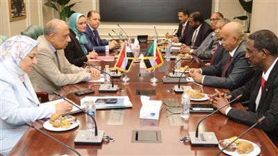 الكهرباء: تعاون مصري سوداني لإعادة تأهيل المحطات والتوسع بالطاقة الشمسية والربط الكهربائي - الخليج الان