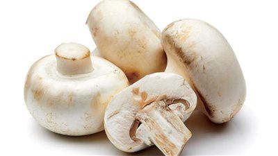 الفطر.. الكنز الغذائي الذي أخفته الأبحاث لسنوات - الخليج الان