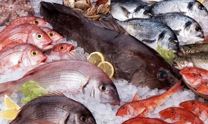 البلطي بكام؟.. أسعار الأسماك والجمبري اليوم السبت 20 سبتمبر 2025
