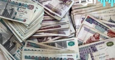 «دعم وتمكين» تمويلات متناهية الصغر تضخ 47.9 مليار جنيه لـ 1.8 مليون مستفيد في 7 أشهر