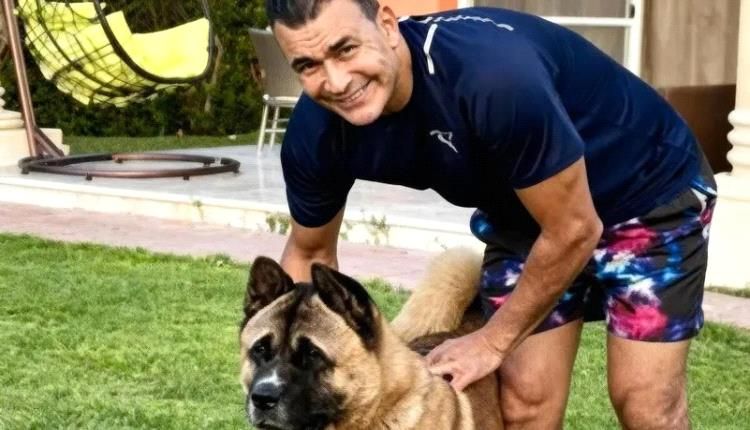 مصر.. القبض على عصام الحضري بسبب "عضة كلب"