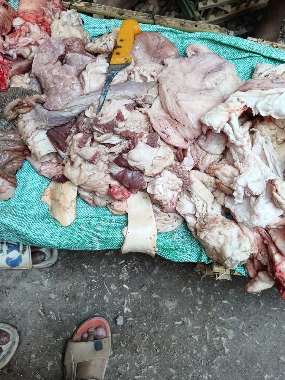 محافظ أسيوط: ضبط لحوم مذبوحة خارج المجازر وتحرير 343 محضرًا متنوعًا خلال حملات تموينية بالمراكز والأحياء - الخليج الان