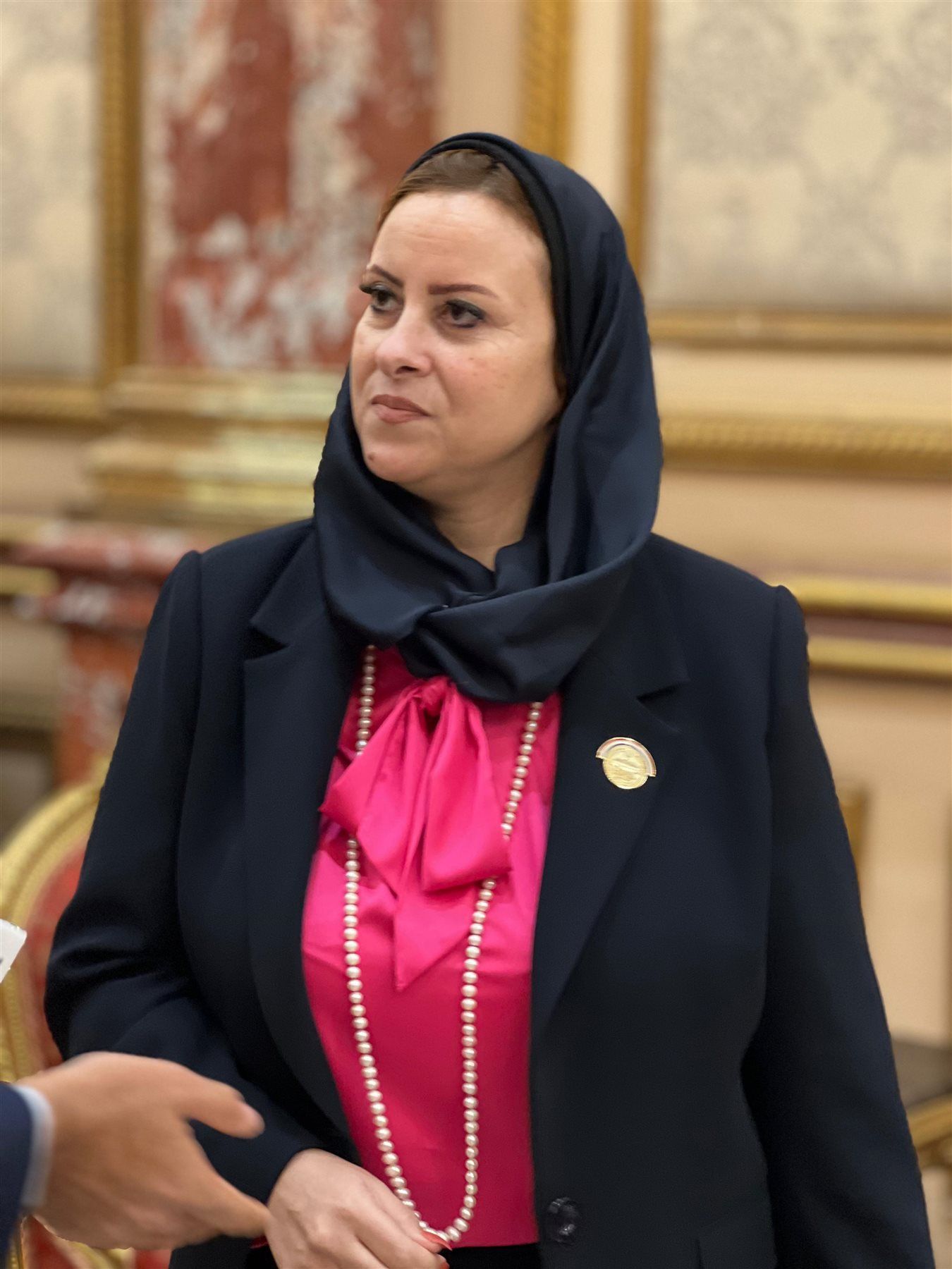 النائبة داليا سعد بعد استخراج كارنيه العضوية: أفتح ملفات شائكة وأدعم تمكين المرأة واستثمار طاقات الشباب - الخليج الان