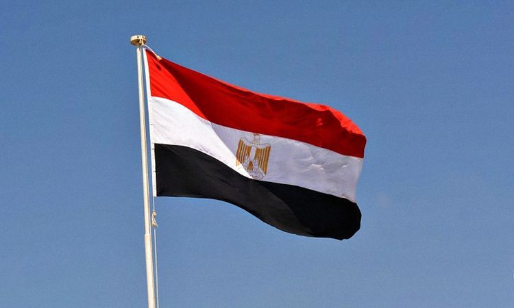 مصر وباكستان تتفقان على تعميق وتكثيف التنسيق والتعاون