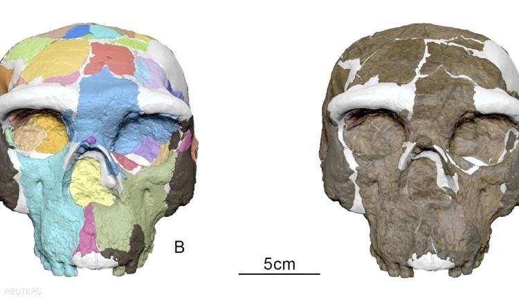 جمجمة عمرها مليون سنة تكشف أسرارا جديدة عن الإنسان