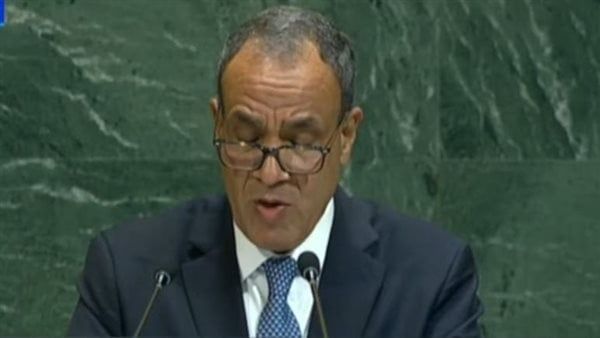 وزير الخارجية: الشرق الأوسط على شفير الانفجار.. ونرفض أي سيناريو لتهجير الشعب الفلسطيني