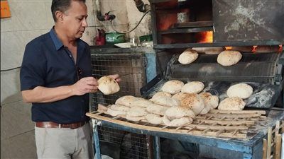 تموين الإسماعيلية ضبط الأسواق والمخابز وتحرير محاضر مخالفات لضمان وصول الدعم للمواطنين - الخليج الان