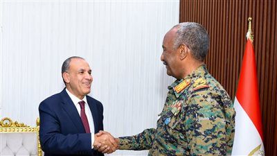 وزير الخارجية: نوفر تسهيلات للسودانيين المتواجدين بمصر للعودة الطوعية لبلدهم عقب هدوء الأوضاع - الخليج الان